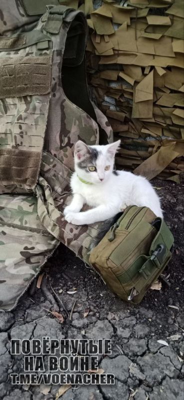 Доброе утро