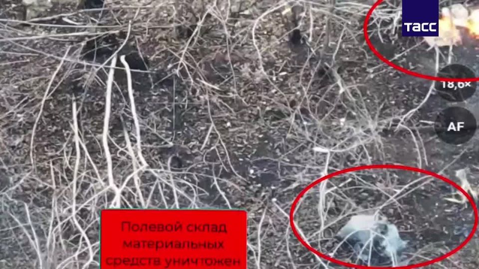 Владимир Разин: Южная группировка уничтожила пять пунктов управления БПЛА и две станции РЭБ у Константиновки