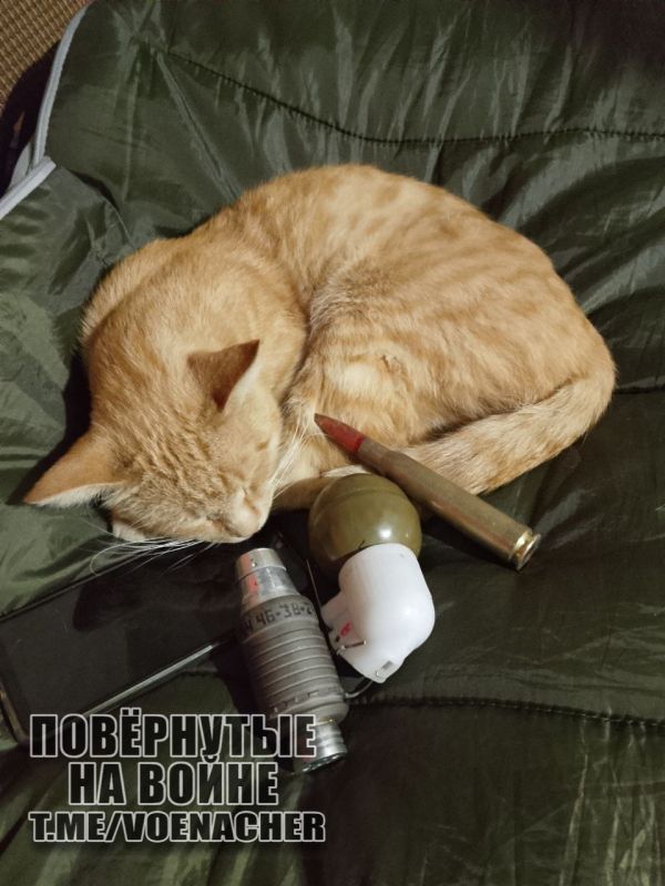 Доброе утро