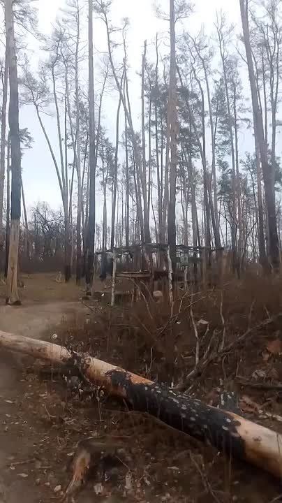 Чингис Дамбиев: Добрле утро