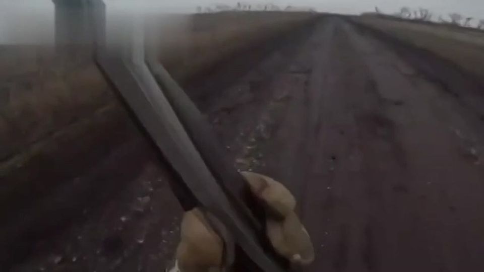 Дмитрий Астрахань: Выглядит так, что дымы могут быть полезны против дронов