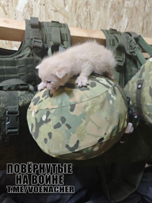 Доброе утро