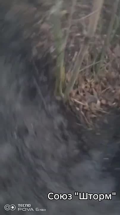 Чингис Дамбиев: Атмосфера СВО