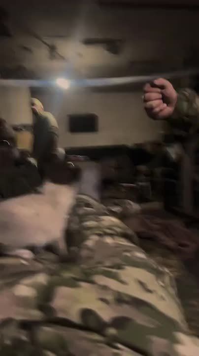 Чингис Дамбиев: Фронтовой питомец русских штурмовиков