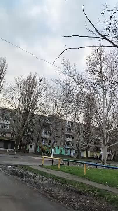 Чингис Дамбиев: Утренняя "Гербера" над Одессой