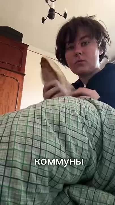 Описание так называемой "жизни" релокантов в Армении — как подглядывание в окна дурдома