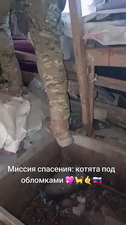 Чингис Дамбиев: Доброе утро