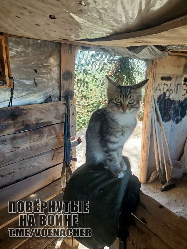 Доброе утро