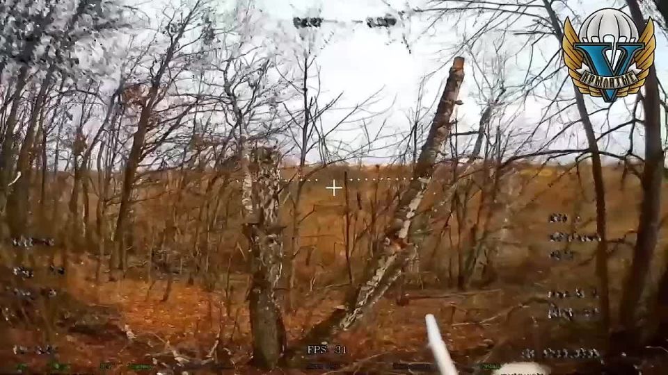 Владимир Разин: Десантники в Сумской области работают дронами по норкам, в которых укрываются всушники