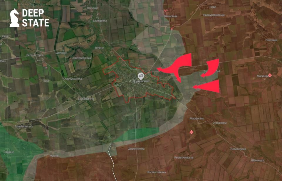 Армия России зашла во фланг под Гуляйполем после неожиданного отхода одного из подразделений ВСУ, — спикер Сил обороны юга Украины