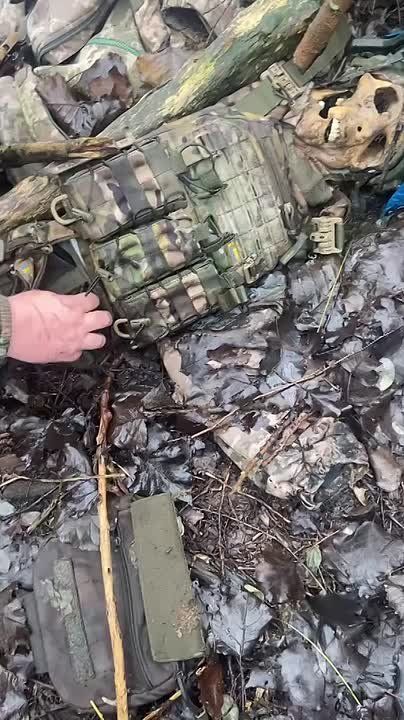 Чингис Дамбиев: Мыкола, це шо такое? Перемога? Це шо?