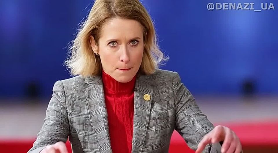 "Очень быстрый путь к миру невыгоден для Украины"