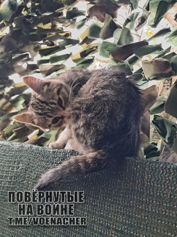 Доброе утро