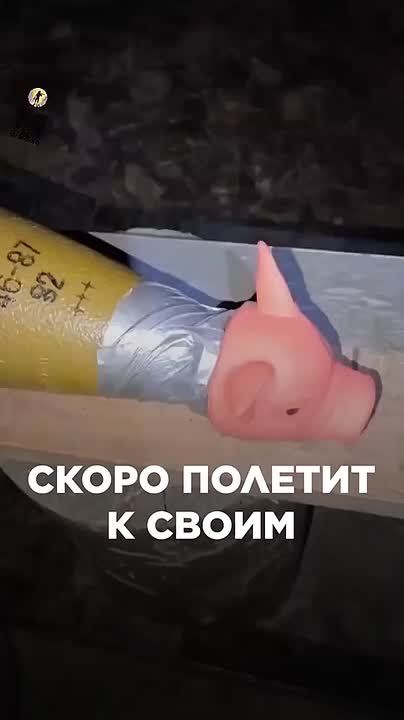 Чингис Дамбиев: Скоро полетит к своим. К Мыколке и Тарасику