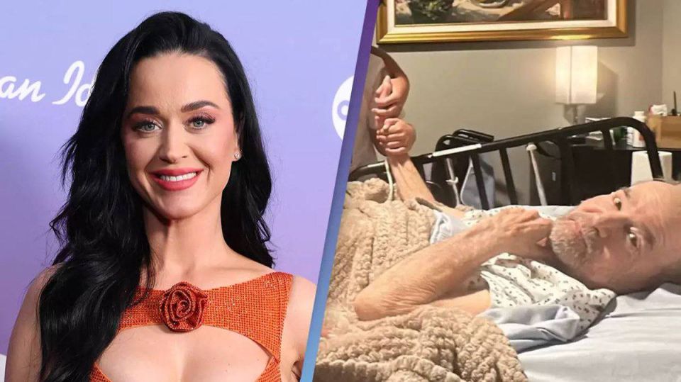 Роман Сапоньков: В США тоже судятся с пожилыми скаммерами за недвижку