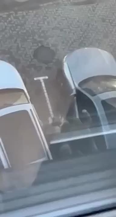 В Луцке гражданина насильно мобилизовали под крики женщин и их попытки спасти несчастного