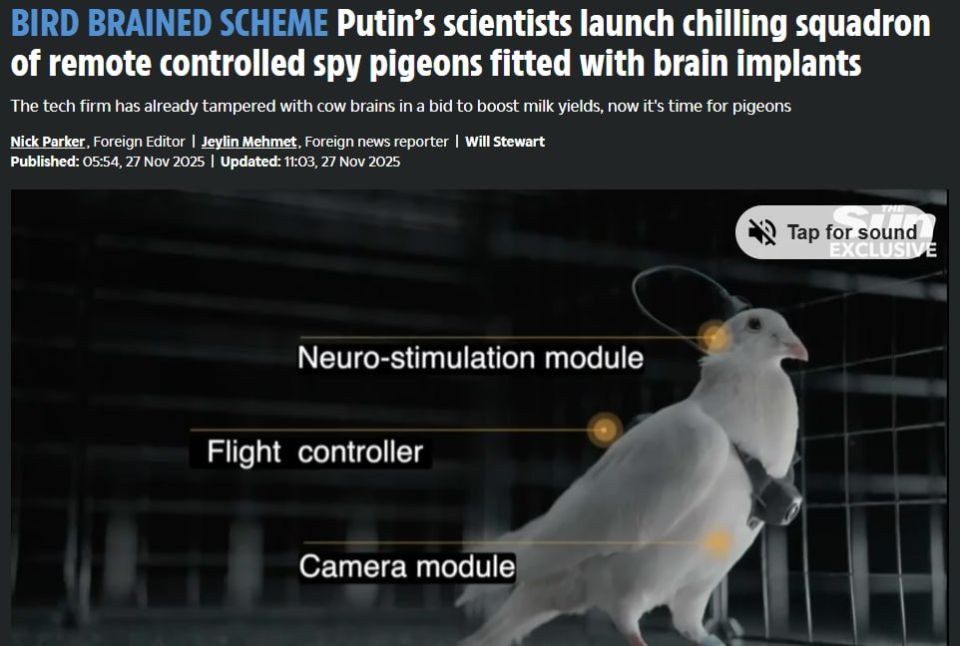 Дроновая истерия вышла на новый уровень: Россия использует "эскадрилью дистанционно управляемых голубей-шпионов", — The Sun