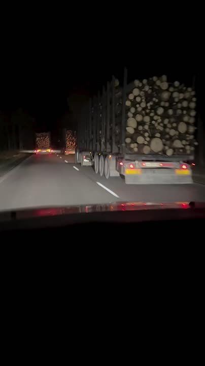 Карпаты «переезжают в ЕС!. Пока украинцы сидят без света, их лес вывозят по ночам — в Европу и США