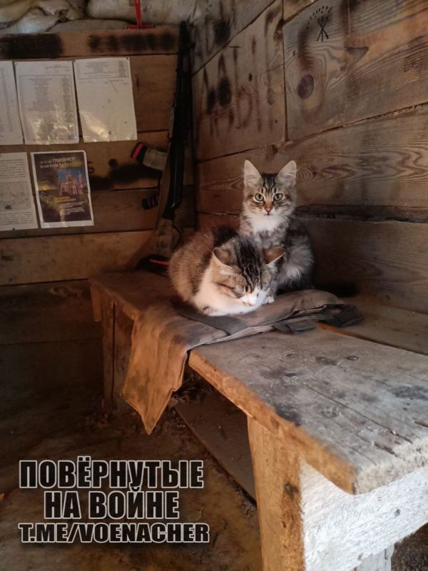 Доброе утро