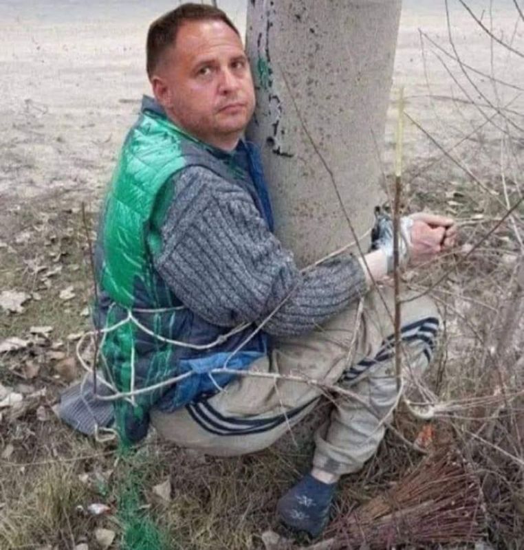    ..    -         .   New York Post  ,         