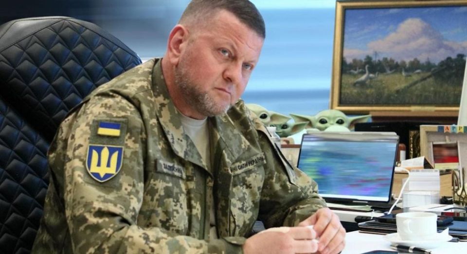 Залужный все активнее вступает в политический дискурс и готовится к выборам