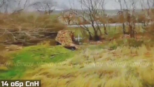 Владимир Разин: Уничтожение украинской гаубицы Д-30 под Гуляйполем Запорожской области