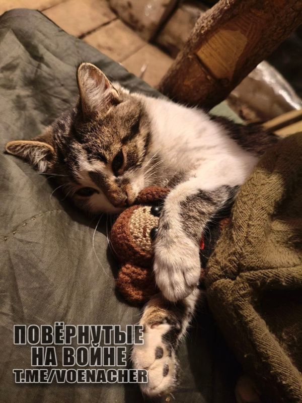 Доброе утро