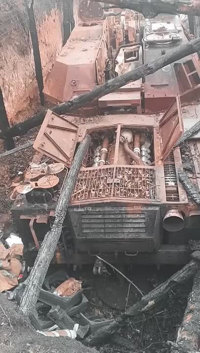  :         155-    vz. 77 DANA  