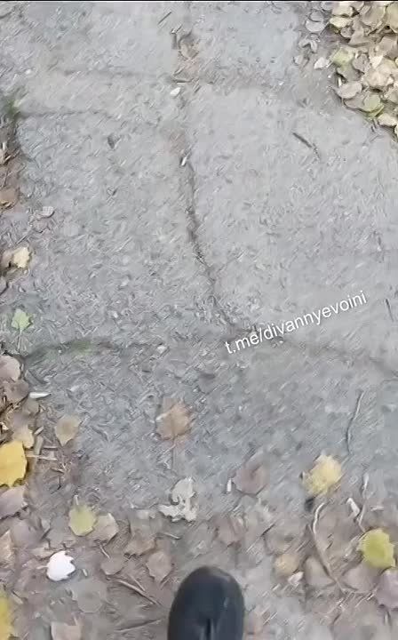       &quot;-&quot;     ,    Telegram-