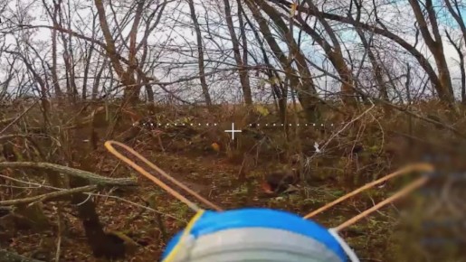 Спрятался под лопушок. Достали дурилу, возомнившего себя частью леса