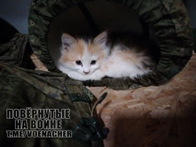 Доброе утро