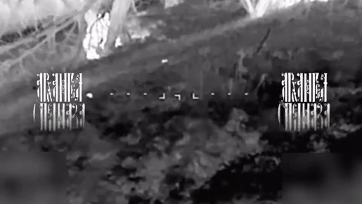 Очередной грибник обнулен. Без излишнего пристрастия ведем поиск и уничтожение живой силы противника, прячущейся в посадке после неудачного контрнаступления