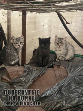 Доброе утро