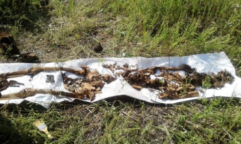 Я давно уже жёсткий, давно не хороший