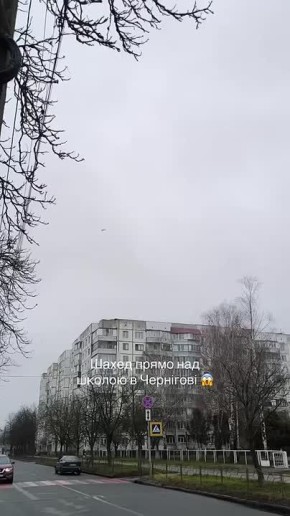 Низко летит — к дождю