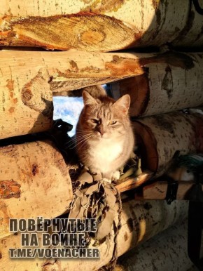 Доброе утро