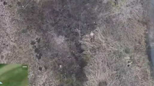 Чингис Дамбиев: Русские дроноводы уничтожают пехоту противника в районе Купянска