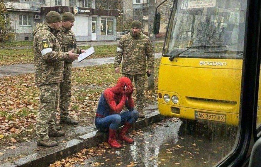 Подвело паучье чутьё :(. заБУСТить нас