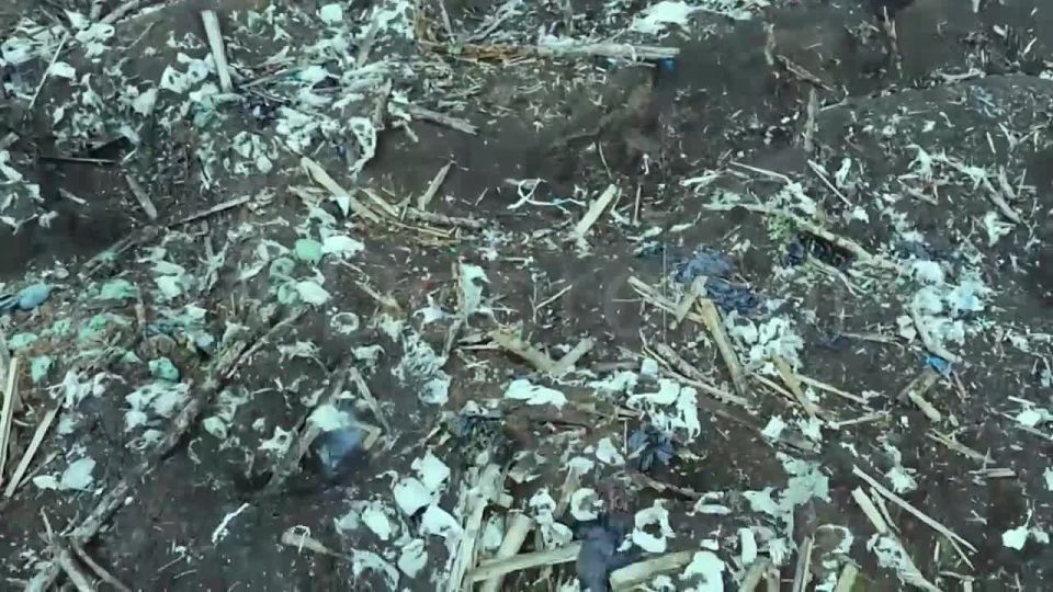 Боец со стальным характером