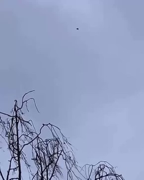 Владислав Евтушенко: Однако сильный маркетинговый ход