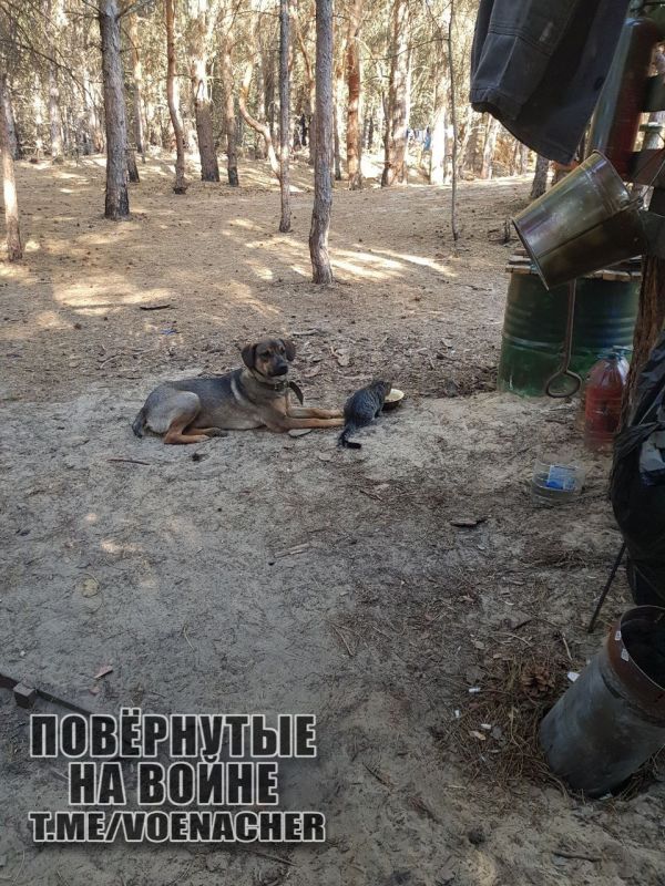 Доброе утро