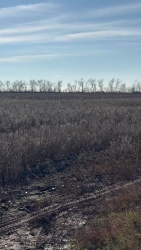 Поля Донбасса, покрытые нитями от оптоволоконных дронов, наши дни