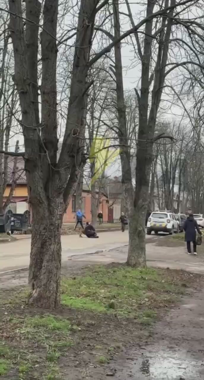 Собака — лучший друг человека!