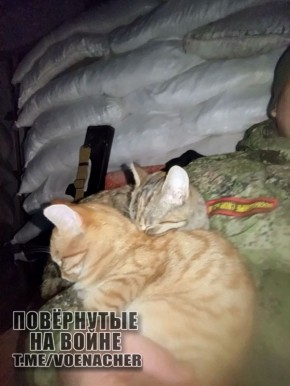 Доброе утро