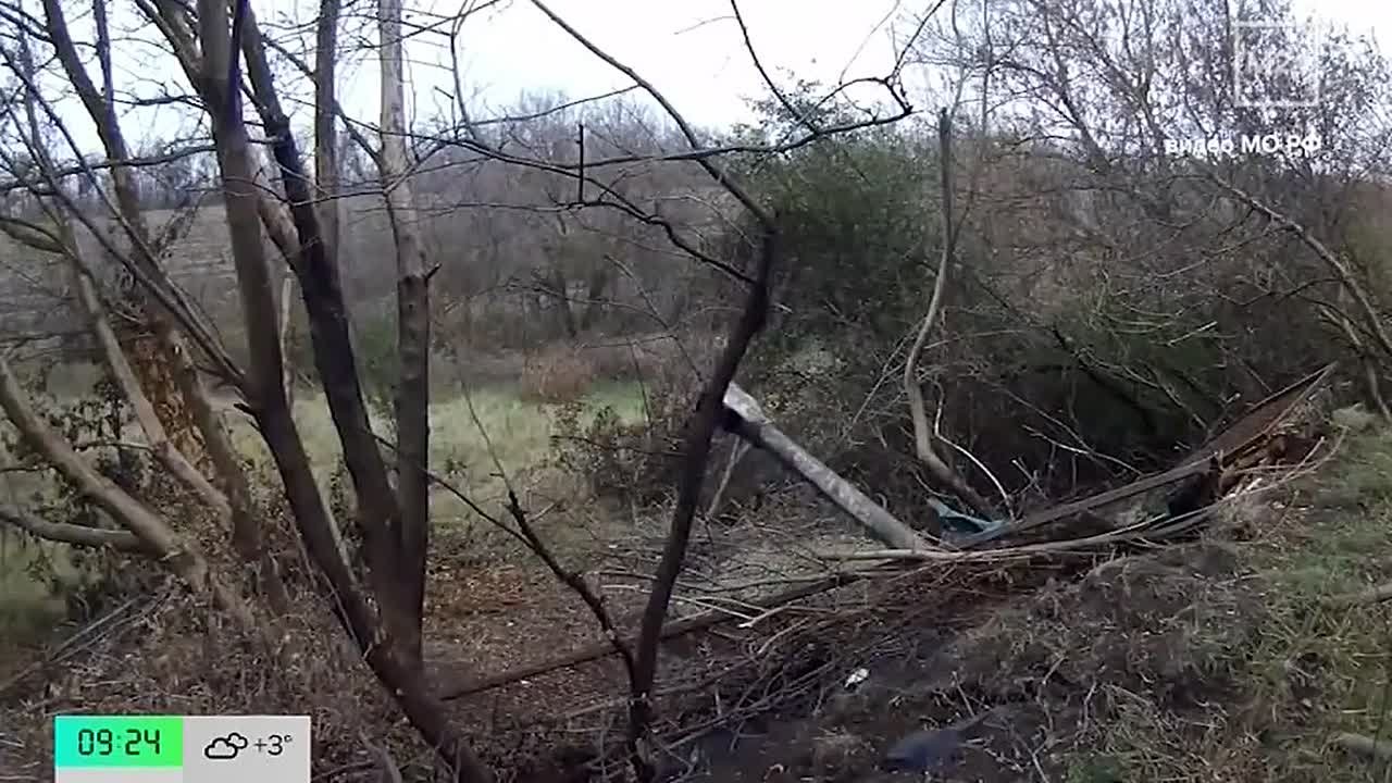 Андрей Марочко: На телеканале «МОСКВА 24» поговорили о ситуации на ЛБС