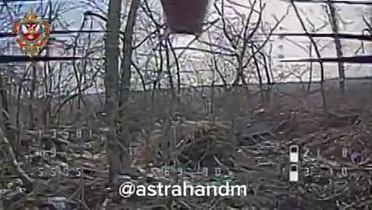 Дмитрий Астрахань: В окрестностях Ильиновки уничтожена антенна и ПУ БЛА ВСУ