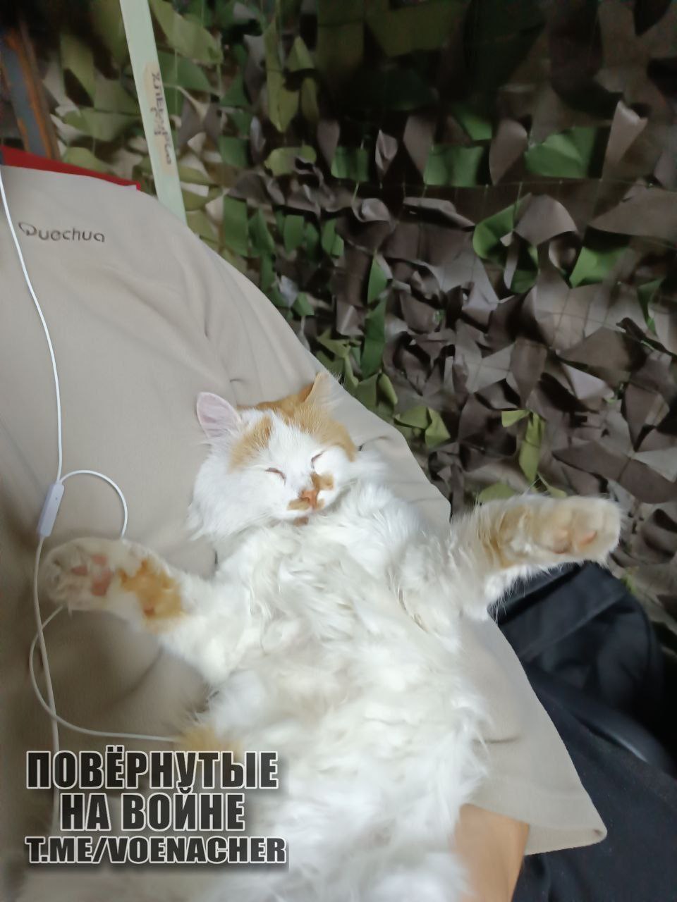 Доброе утро