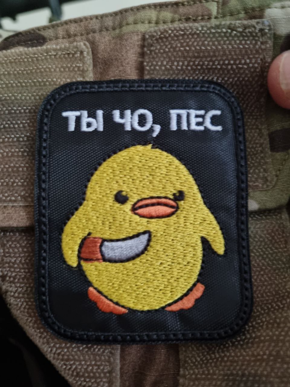 Чингис Дамбиев: Шеврон дня