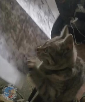 Одно из составляющих успешно выполненной задачи - это сплочённость и взаимодействие