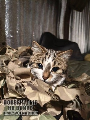 Доброе утро